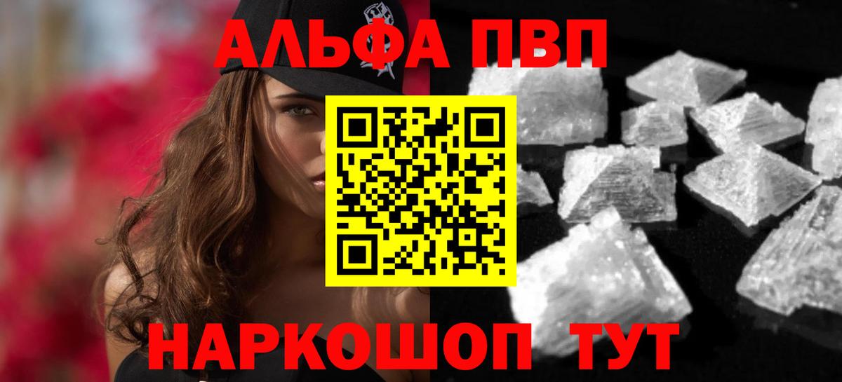 Alfa_PVP СК Печора