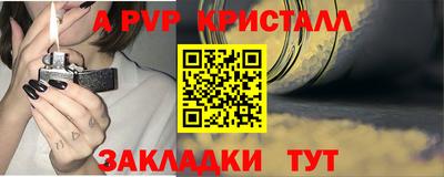 СК Абакан