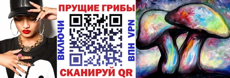 Галлюциногенные грибы Cubensis Печора
