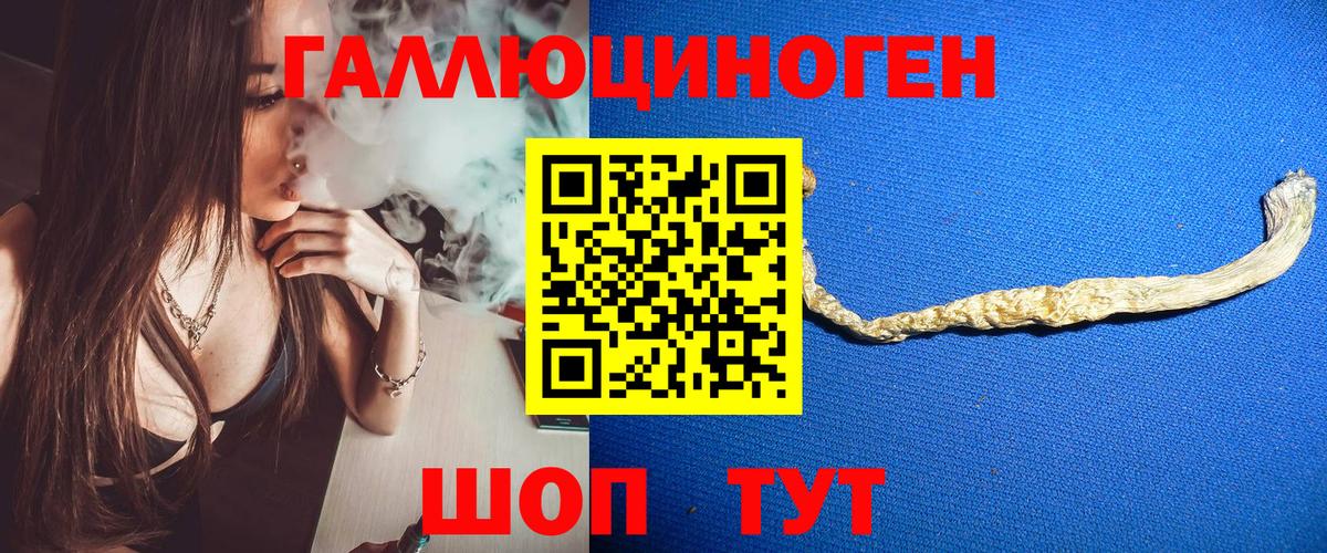Галлюциногенные грибы Psilocybine cubensis Печора