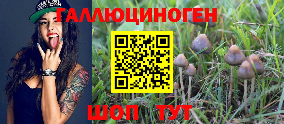 Печора  даркнет сайт  Вход с VPN  Галлюциногенные грибы Cubensis 
