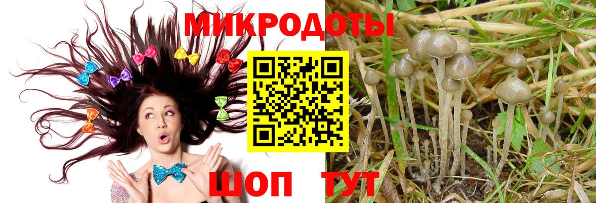 Псилоцибиновые грибы Psilocybe  Вход с VPN  Печора 