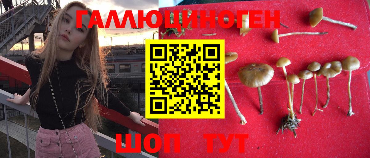 Псилоцибиновые грибы прущие грибы Печора